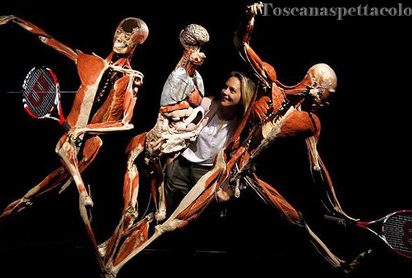 Mengenal Teater Anatomi Terindah Di Italia